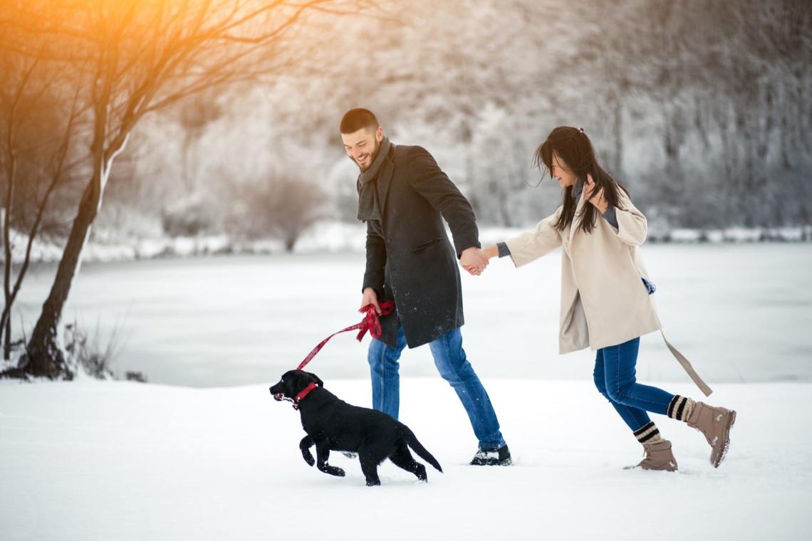 The urban dog park features an off-leash area.