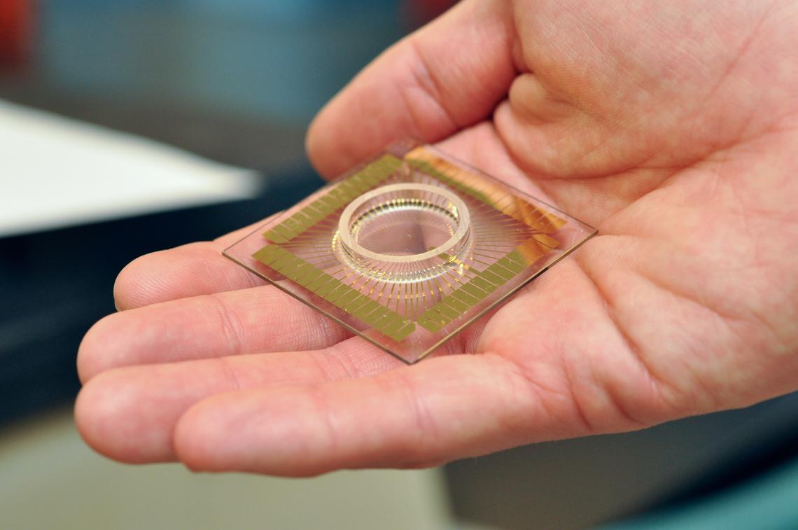 Neurochip built at the University of Calgary.