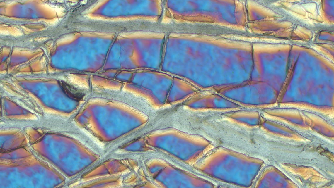 A microscope image of serpentinized olivine, showing serpentine formation. This rock was not examined as part of the study, but exemplifies the serpentinization process.