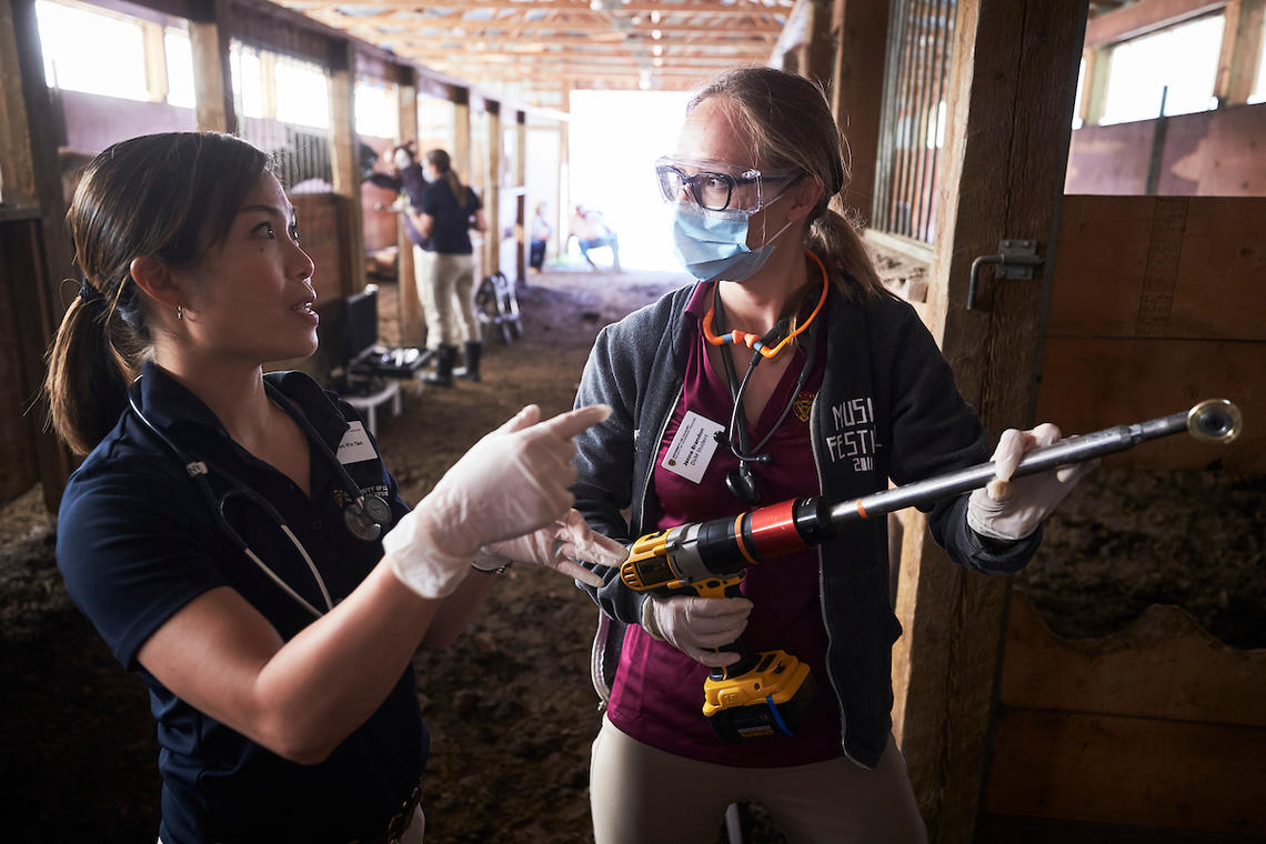 Dr. Tan provides instruction to one of her students during an equine rotation in 2019.