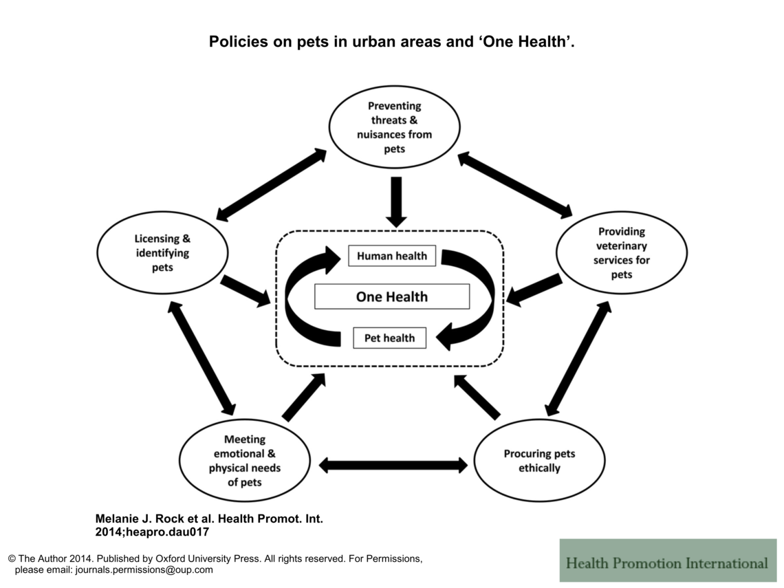 How urban pet policies contribute to human and animal well-being. 