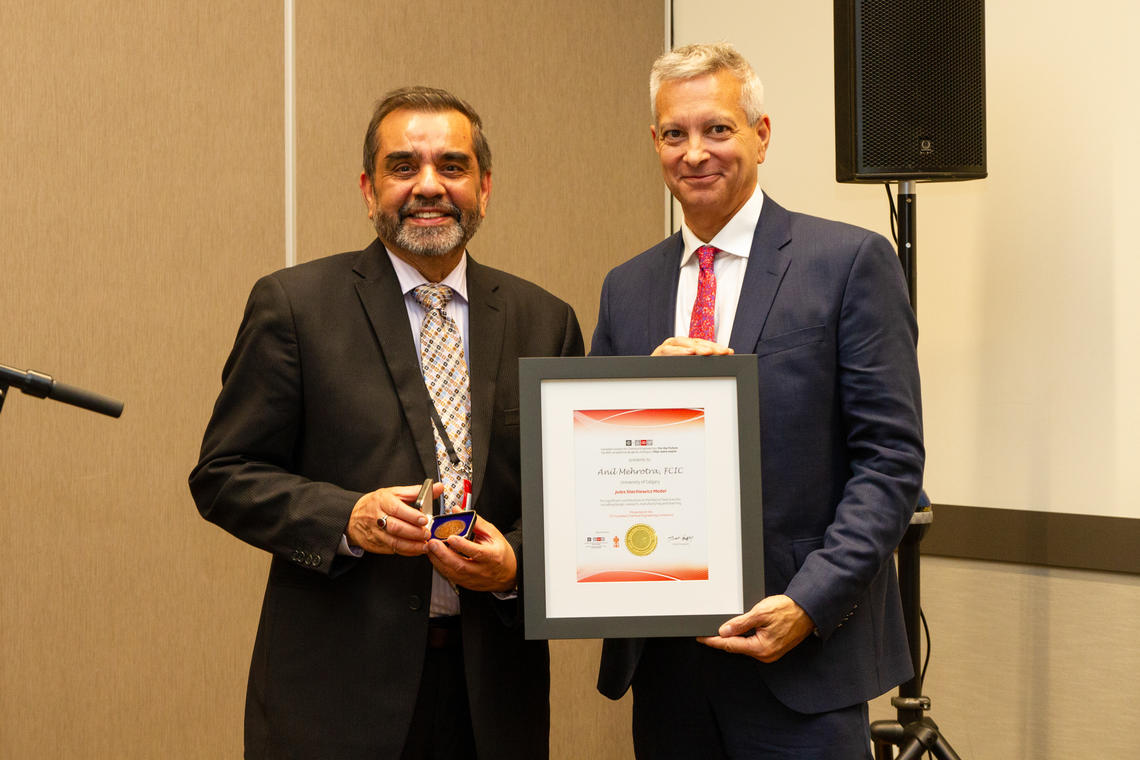 Anil Mehrotra Award
