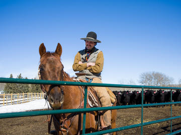 Students, faculty, and staff tour the 19,000-acre W.A. Ranch. The 1,000-head cattle operation became part of the Faculty of Veterinary Medicine in 2018 when J.C. Anderson and his daughter Wynne Chisholm donated the $44-million ranch for research