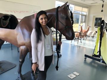 Vet Med students from across Canada