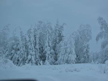 The Sahtu region in all its snowy beauty. 