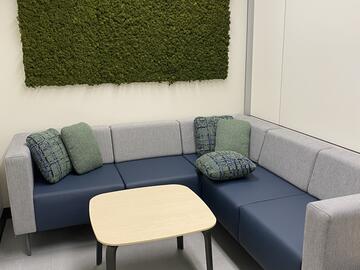 Couches and dried moss wall