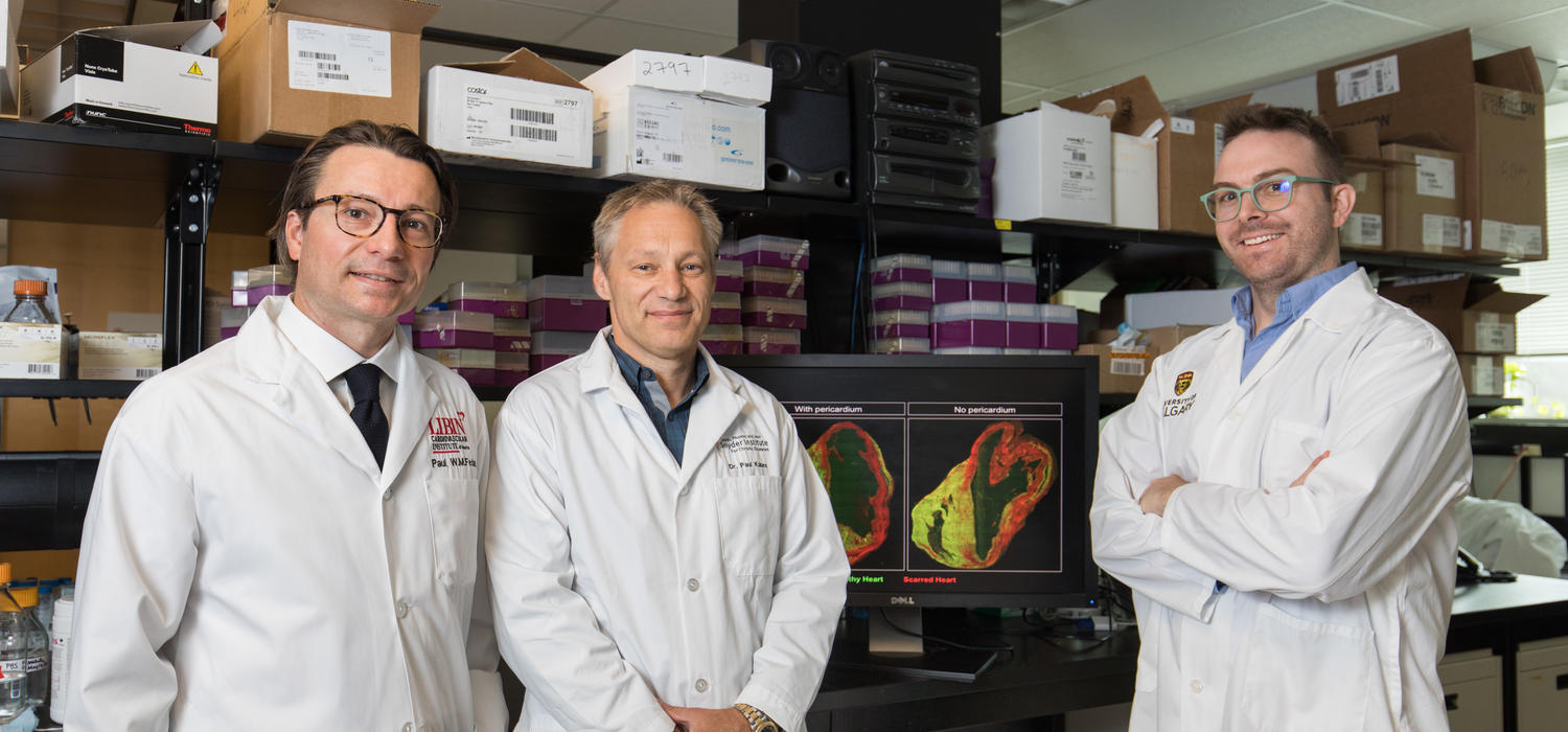 Clinician-scientist Paul Fedak, left, with immunology researchers Paul Kubes and Justin Deniset.