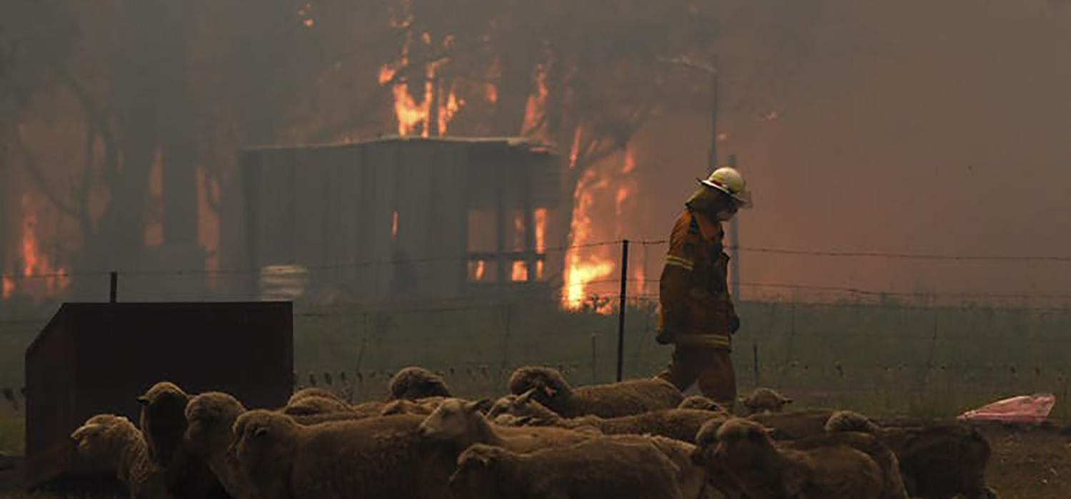 A rural fire service crew attempts to protect a property in New South Wales in December 2019.