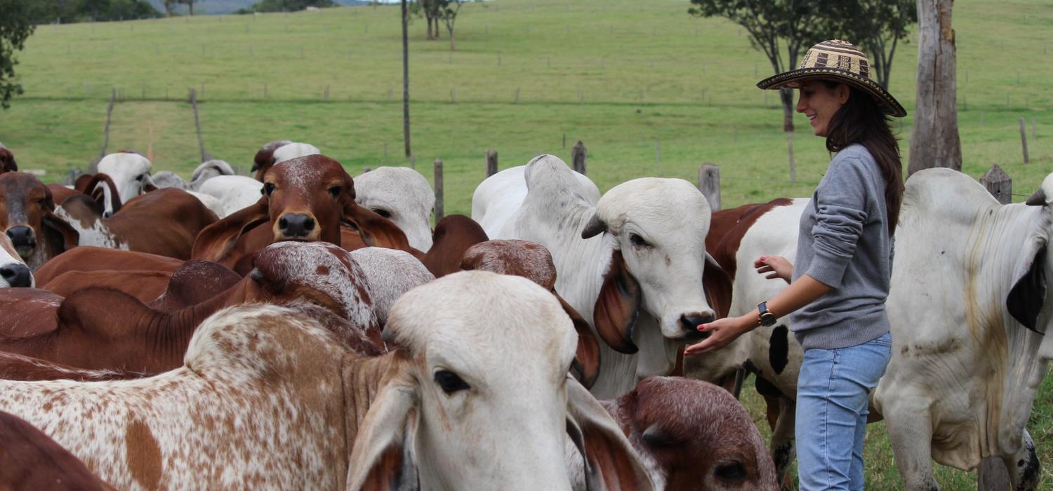 Dr. Maria Camila Ceballos standing in a field with cows.