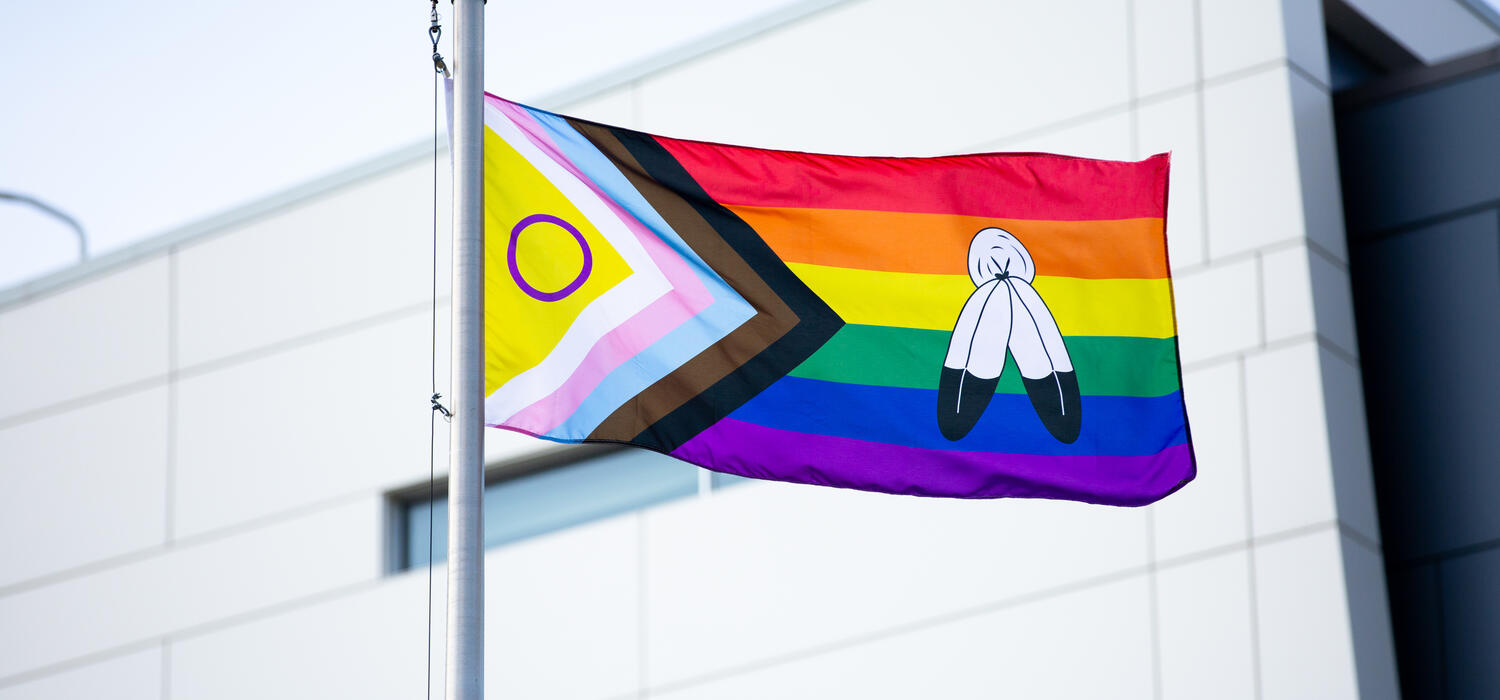 The LGBTQ+ flag 