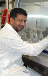 Sohail Naushad discovered a new species of staphylococcus in a sample of cow’s milk while researching bovine mastitis. Photo by Jeroen De Buck.