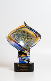 Diversity Award trophy