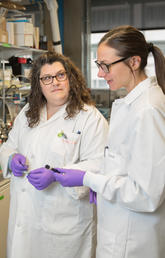 Three women in lab coats, wearing purple gloves.