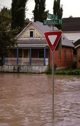 A flooded street in lower Bridgeland in N.E. Calgary, 2013.