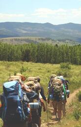 Hikers on trail