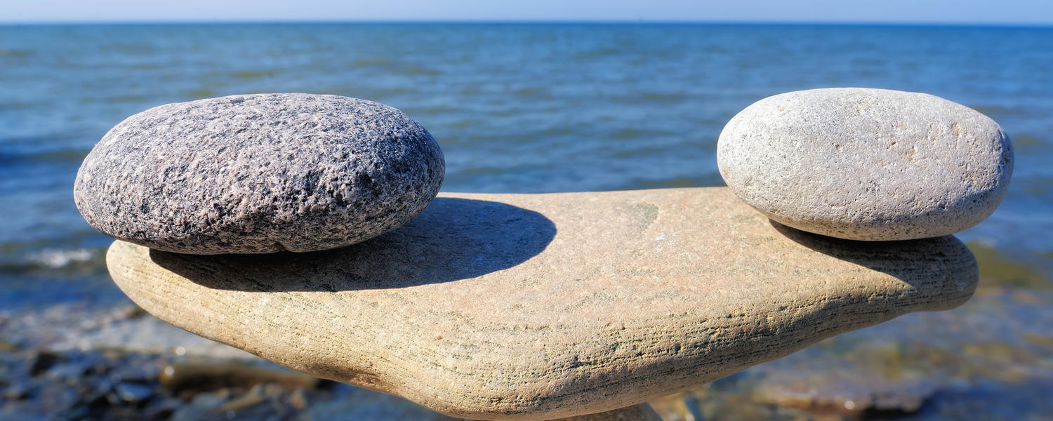 Signature Pedagogies in WSE