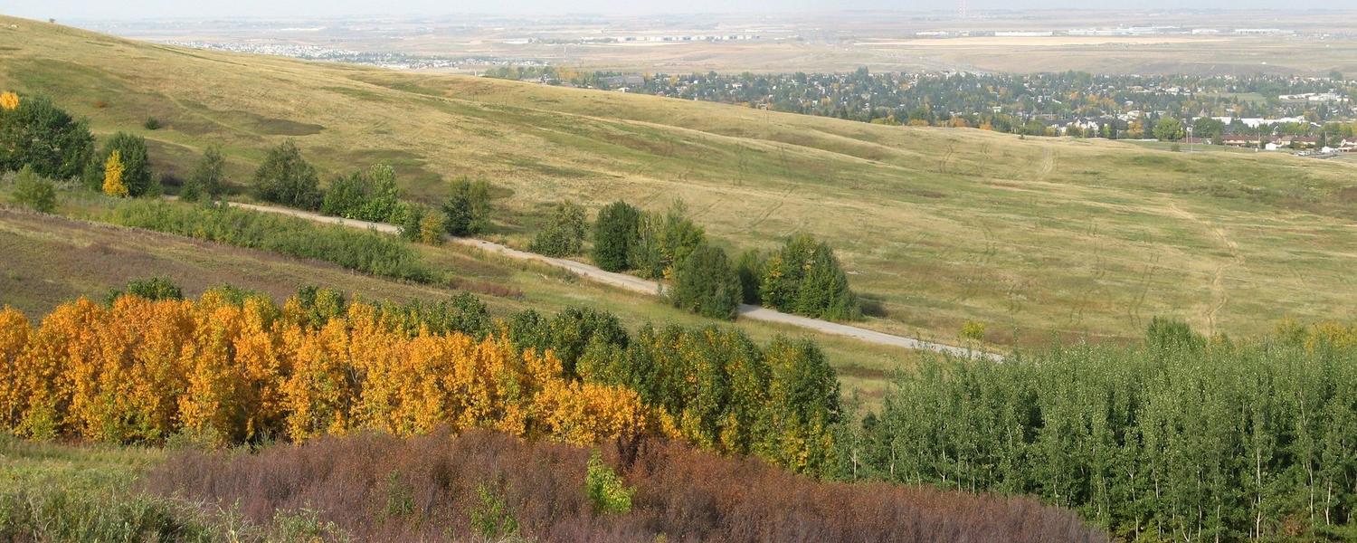 Field Trip to Nose Hill Park