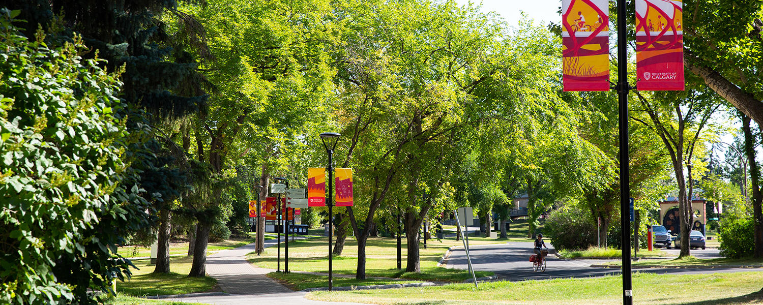 UCalgary Campus - Summer 2020