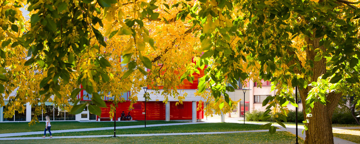 autumn campus