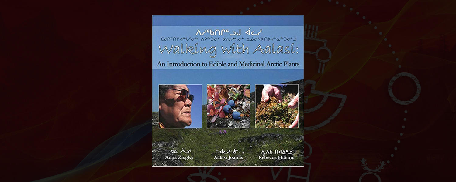 Walking with Aalasi: An Introduction to Edible and Medicinal Artic Plants