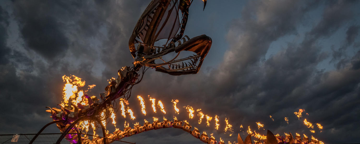 Beakerhead snake