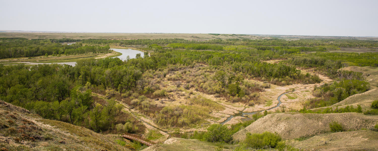 Blackfoot archaeology dig