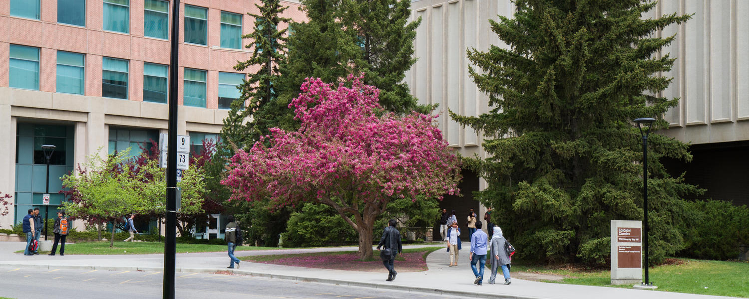 Campus in Spring
