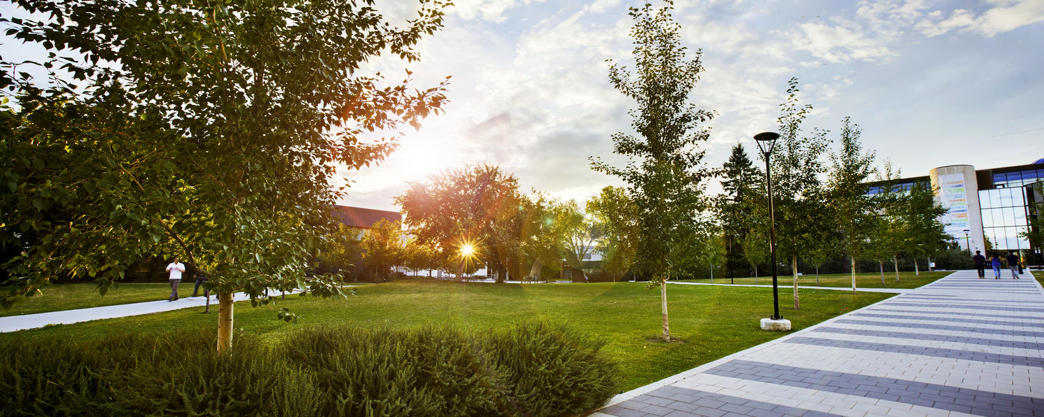 UCalgary campus