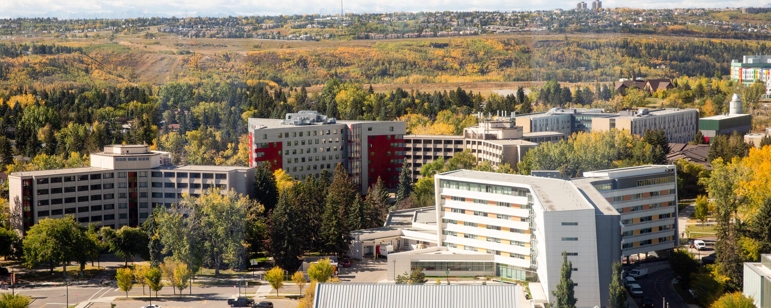 View from Education Buildings