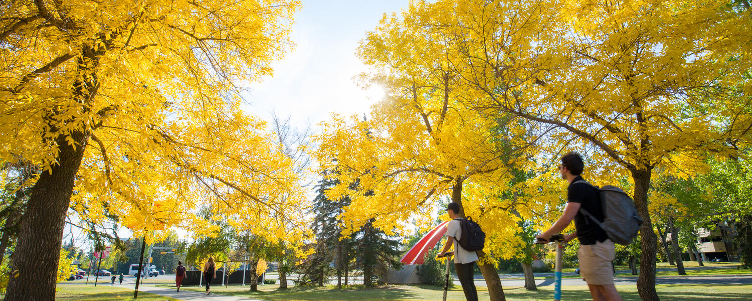 Students on Campus