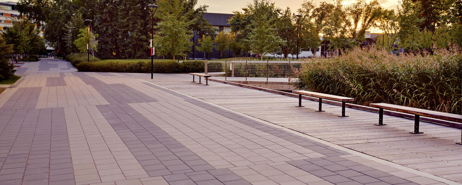 Evening on Campus