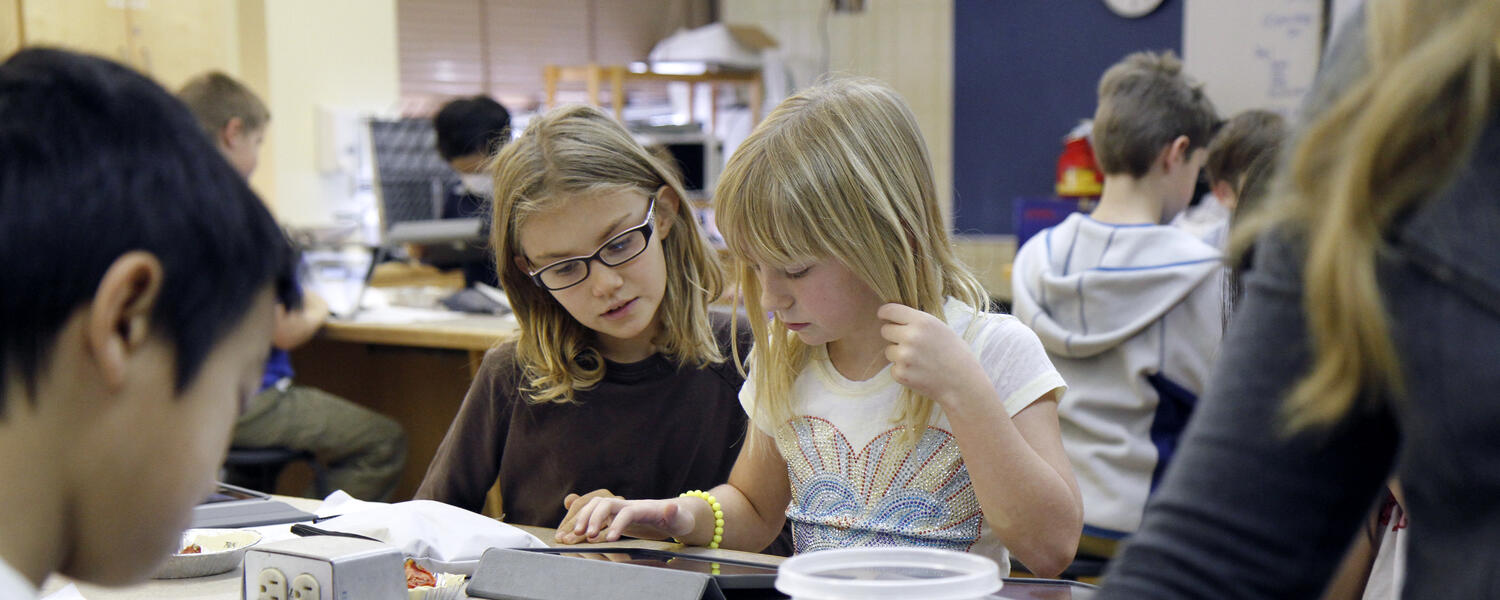 Literacy and Numeracy