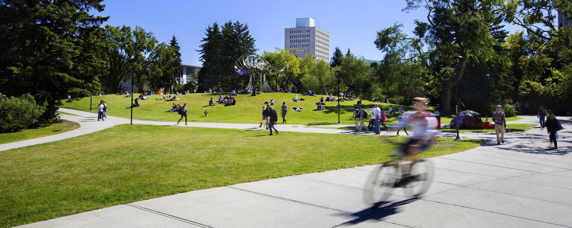 About Werklund School of Education