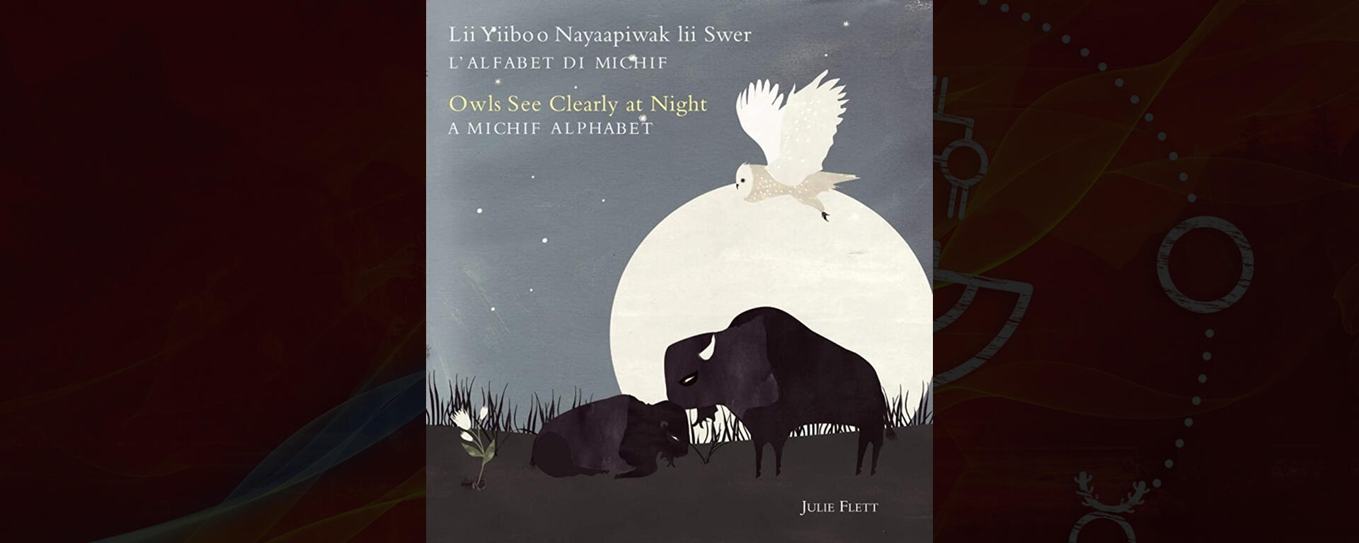   Owls See Clearly at Night