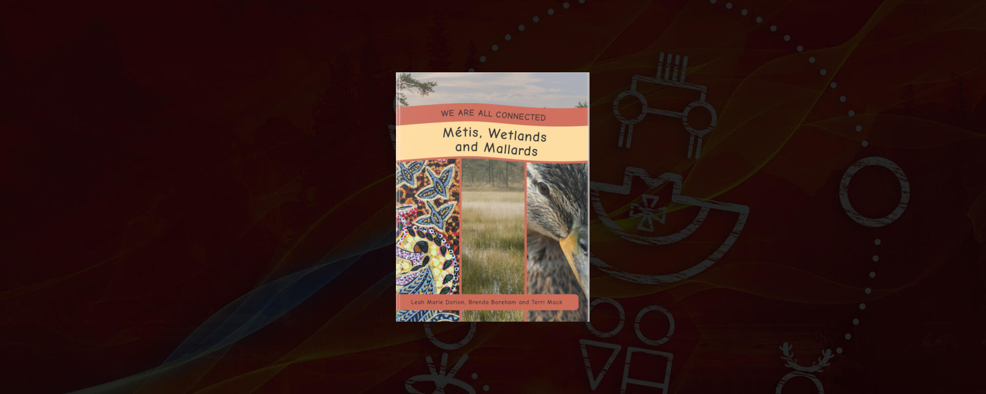 We Are All Connected: Metis, Wetlands, and Mallards