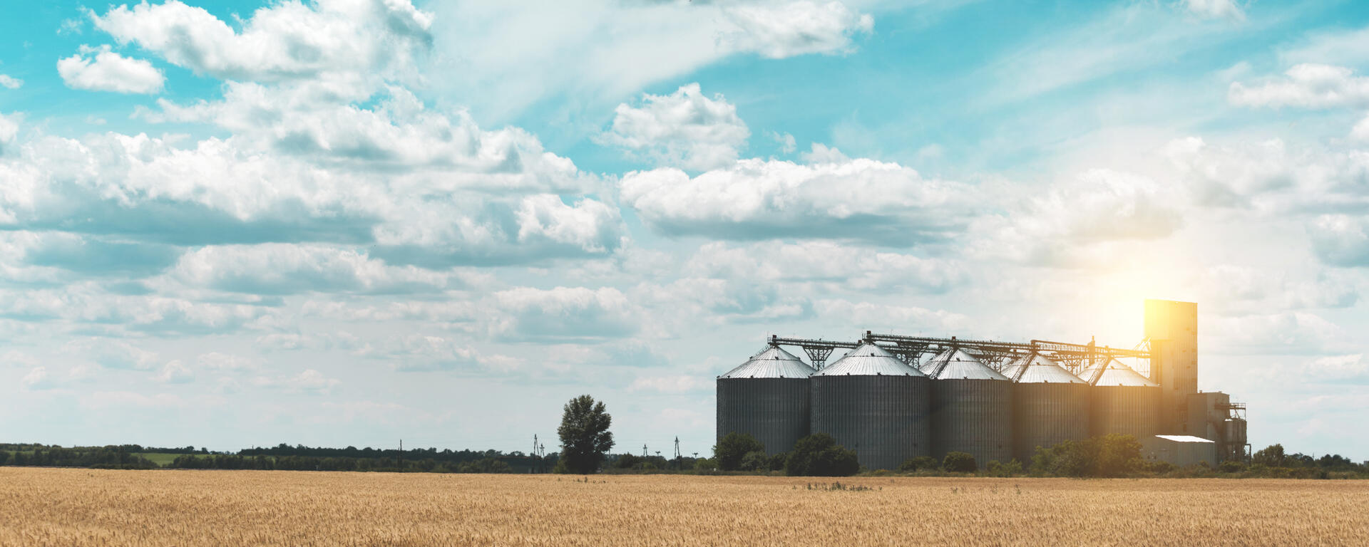 Rural Alberta