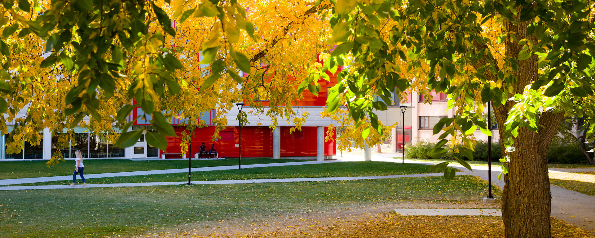 Autumn campus