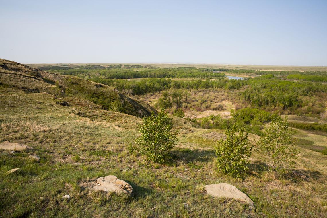 Field Trip to Blackfoot Crossing