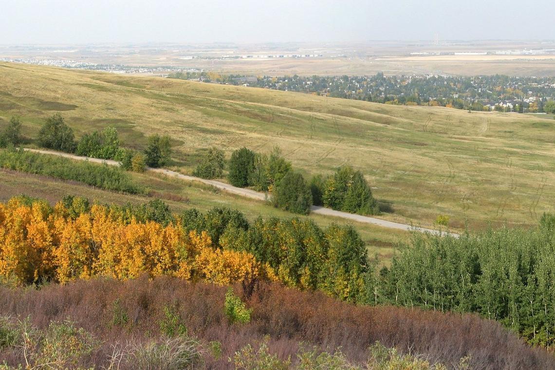 Field Trip to Nose Hill Park