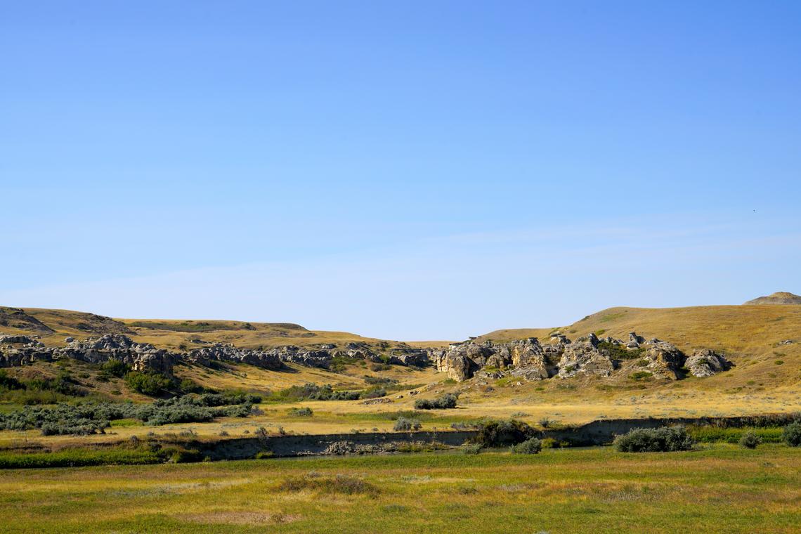 Field Trip to Writing on Stone