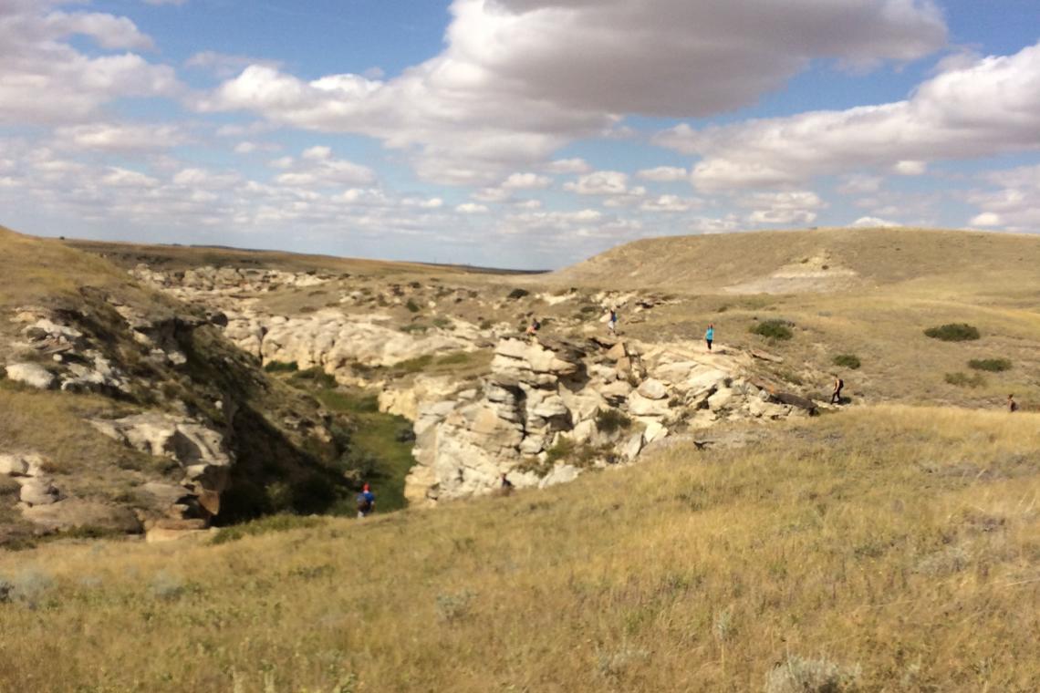 Prairie