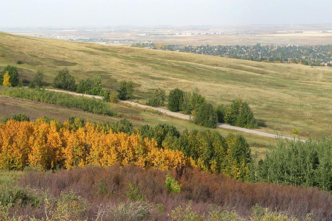 Nose Hill Park