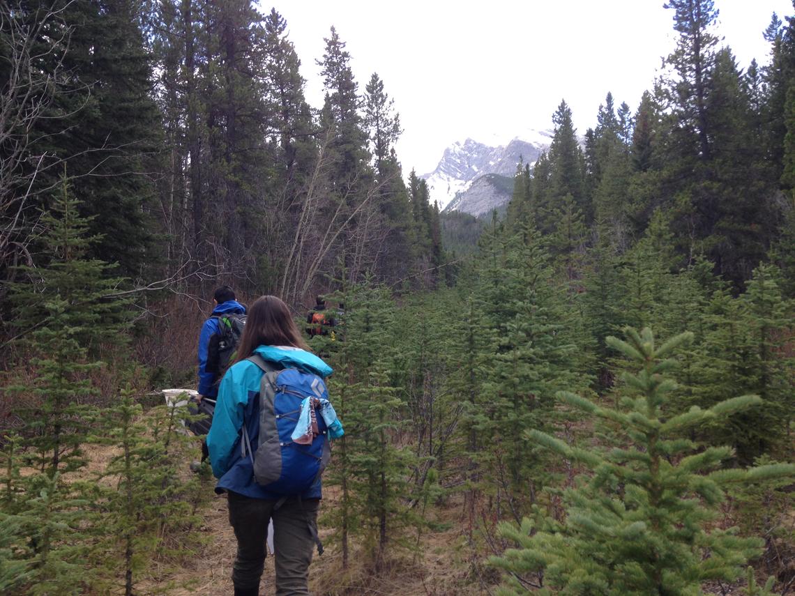 Hiking in trees