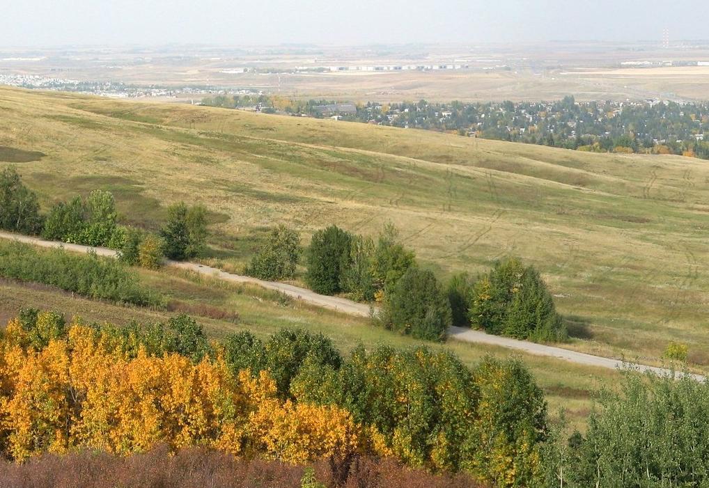 Field Trip to Nose Hill Park Field Trip to Nose Hill Park