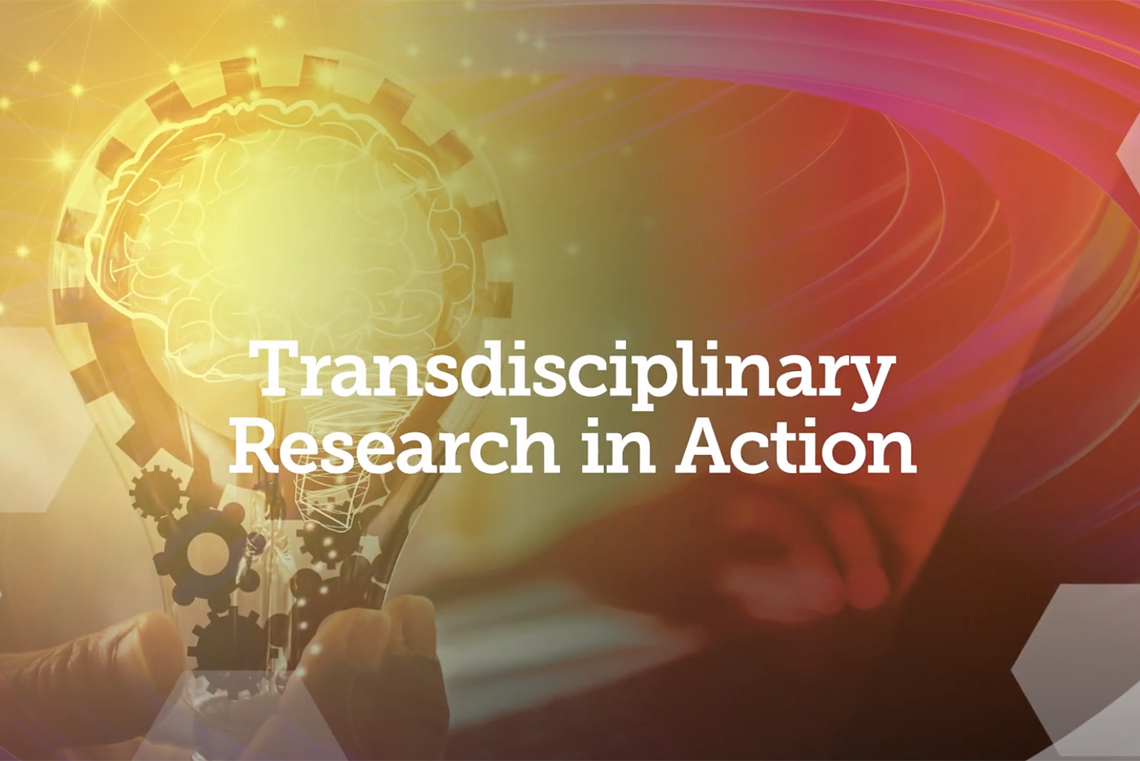 Transdisciplinary Scholarship in Action 