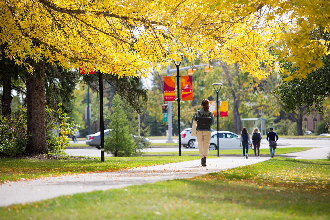 Fall campus