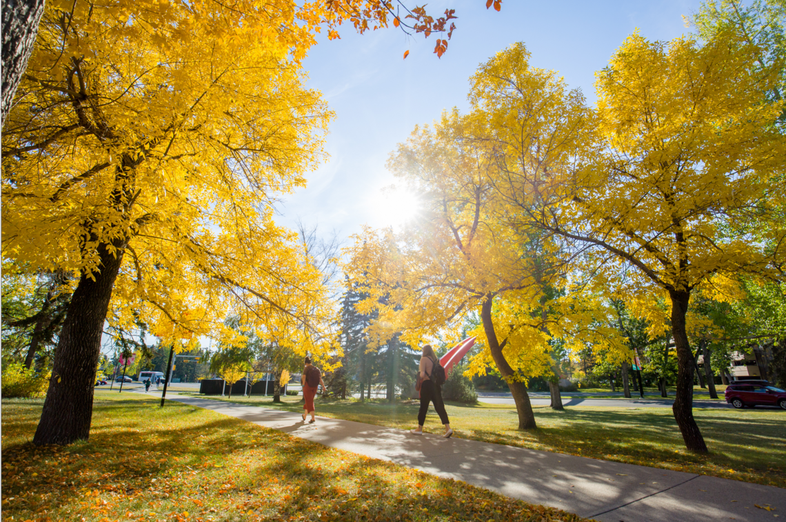 Campus in fall