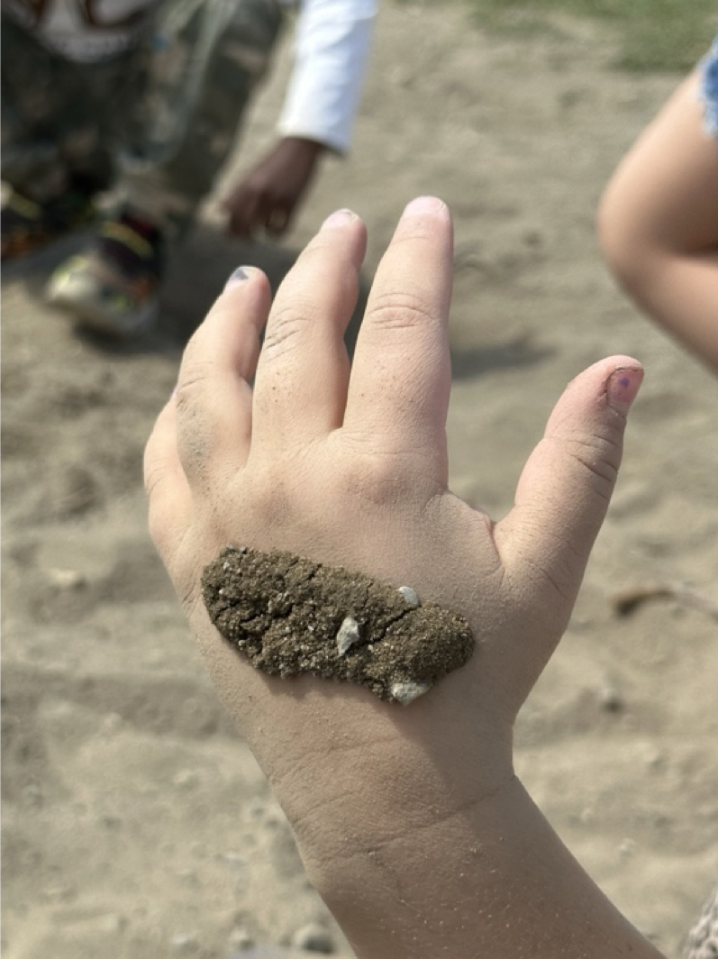 Child's hand with dirt