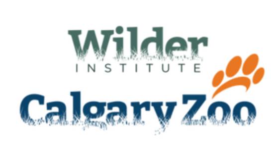 wilder institute logo