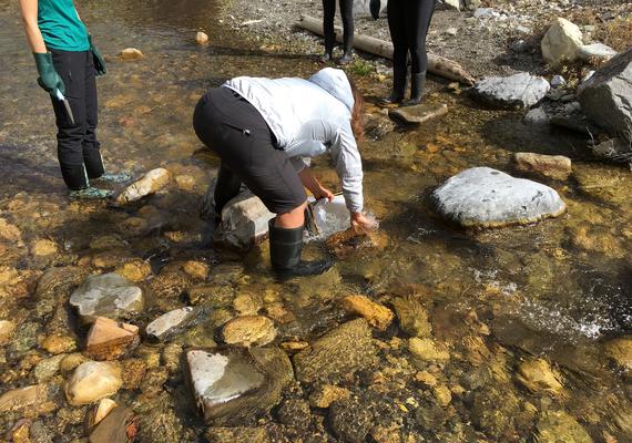 Engaging Students with Inquiry